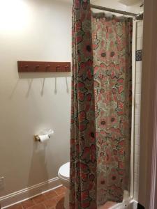 a bathroom with a shower curtain and a toilet at Cozy studio near DC (in walkable Falls Church, VA) in Falls Church