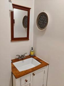 a bathroom with a sink and a mirror at Cozy studio near DC (in walkable Falls Church, VA) in Falls Church