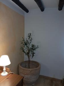 a plant in a large pot sitting next to a lamp at Ruta del Agua Casa Completa 4 hab al lado Monasterio de Piedra in Munébrega