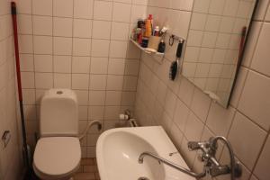 La petite salle de bains est pourvue de toilettes et d'un lavabo. dans l'établissement Cozy one room apartment, à Herlev