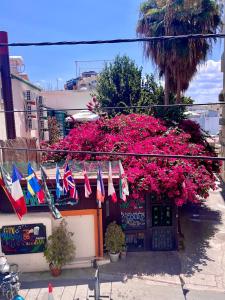 a bunch of flags hanging from a building with pink flowers at Studio apartment in Larnaca