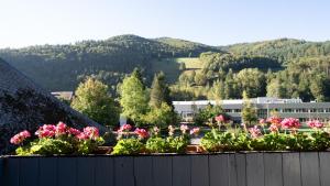 a bunch of flowers on top of a fence at Schwarzwaldferienwohnung Oberle in Todtnau