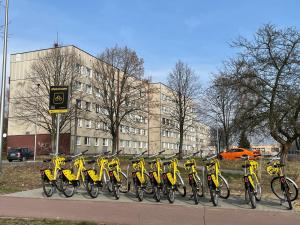 Jazda na bicykli v okolí ubytovania Apartament -Jak w domu- Czeladź 60m2 Centrum Katowic 10km