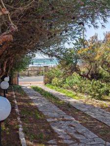 kamienna ścieżka z drzewami i droga w obiekcie Casa Vacanze La Pineta del Mare w mieście Torre Ovo