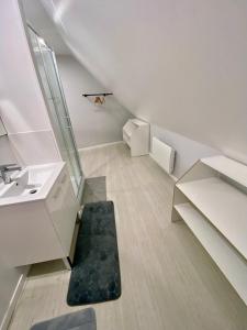 uma casa de banho com um lavatório e um tapete preto em studio indépendant 800 m de la gare du Mans em Le Mans