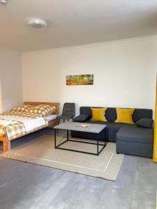 een woonkamer met een bank en een bed bij Wohnung in Schlachthausgasse in Wenen