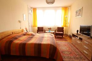 ブダペストにあるCharming Apartmentのベッドルーム(ベッド1台、テレビ、窓付)