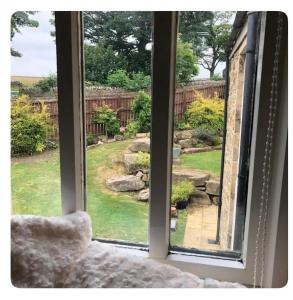a view of a yard from a window at The Oaks A private room in our home With its own entrance with internal doors locked More suited to quieter guests wanting a peaceful stay in Consett