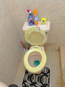 a bathroom with a toilet with a green seat at Homely apt 3 (three) in Kisumu