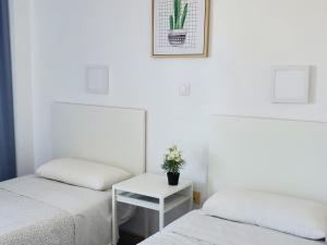 Fotografie z fotogalerie ubytování Las Camelias Apartments CI15 v destinaci Playa del Ingles + 20 fotografií