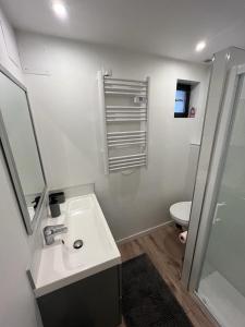 een witte badkamer met een wastafel en een toilet bij La Maison du Roi Arthur in Carcassonne