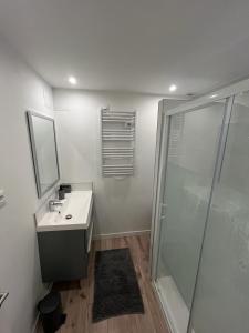 ein Badezimmer mit Waschbecken und Dusche in der Unterkunft La Maison du Roi Arthur in Carcassonne + 25 Fotos