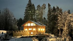 NiederdorfApartment A&A的雪中带灯的小木屋