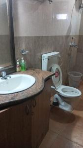 a bathroom with a sink and a toilet at Blue Flamingo Goa Apartment-Casa-Baga in Baga