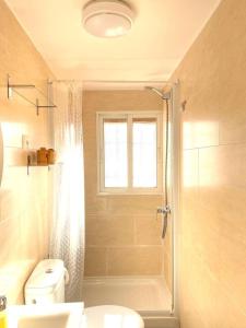 een badkamer met een douche, een toilet en een wastafel bij One bedroom appartement with wifi at Madrid in Madrid