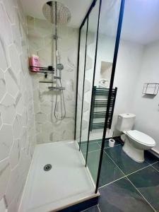 La salle de bains est pourvue d'une douche et de toilettes. dans l'établissement Appartement Nicolas, à Aujac