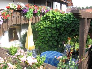 Zahrada ubytování Apartmenthaus - Haus am Schultal,