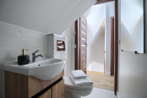 Koupelna v ubytování WierchoHouse - domek z jacuzzi + 24 fotografií