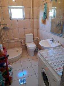 uma casa de banho com um WC, um lavatório e uma máquina de lavar roupa em Appartment Utjeha em Utjeha