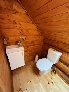a toilet and a sink in a wooden room at Zrub Hanesy in Donovaly