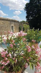 a garden with pink flowers in front of a brick building at L'annexe du Plessis Bochard in Saint-Pierre-des-Nids