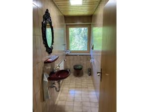 a bathroom with a sink and a toilet and a mirror at Appealing apartment near lake in Argenbühl +17 photos
