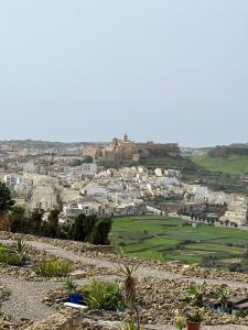 Φωτογραφία από το άλμπουμ του Islandlife Farmhouse with view Ta'Pitra σε Xagħra
