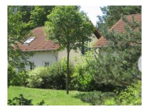 a white house with a tree in the yard at Holiday home Zur Lenzer Höh 5 in Lenz