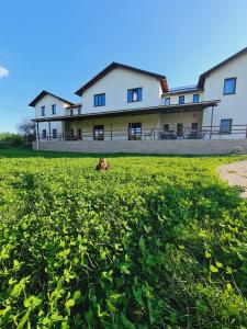 a dog laying in a field in front of a building at Pensiunea turistică MUZE in Rezina
