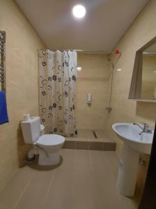 a bathroom with a toilet and a sink and a shower at Pensiunea turistică MUZE in Rezina
