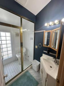 a bathroom with a shower and a toilet and a sink at Blue House in Sylvan Lake