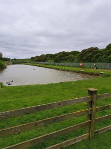 a fence next to a river with ducks in it at Golden Sands, Ingoldmells, 6 berth in Ingoldmells
