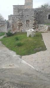 a table and chairs sitting on a field of grass at Πέτρινο σπίτι-Stone house in Koíta