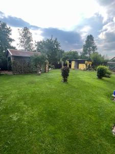 a yard with green grass and a house at Souterrainwohnung im Speckgürtel von Erfurt! in Großrudestedt