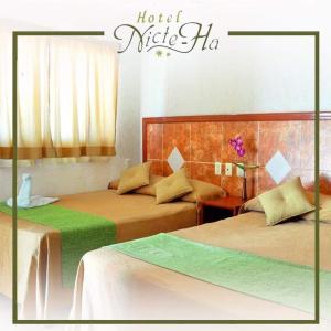 坎佩切的住宿－Hotel Nicte-Ha，两张床位于一间旅馆的房间