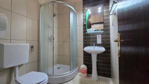 Un baño con ducha, inodoro y lavabo. en Villa Roua, en Bran 35 fotos más