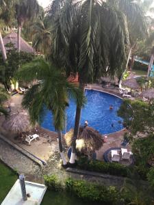 - Vistas a la piscina de un complejo con palmeras en Suit Junior Emano 410 en Ixtapa