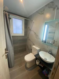 een badkamer met een toilet, een wastafel en een raam bij Alexandra apartment in Athene