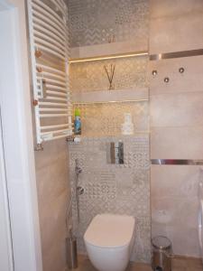 uma casa de banho com um WC e um chuveiro em Grey Tuwima em Olsztyn