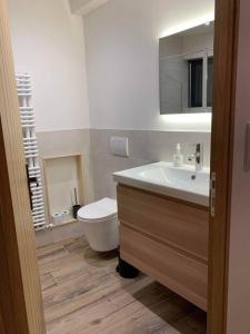 a bathroom with a white sink and a toilet at Studio les Hirondelles - 2 personnes à Ribeauvillé in Ribeauvillé +6 photos