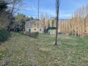 an old house in the middle of a field at Amico Country House in Serra San Quirico