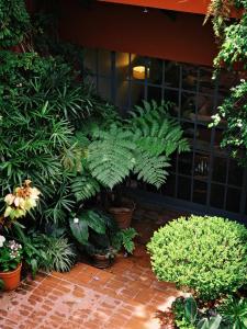 BE Jardin Escondido By Coppola في بوينس آيرس: مجموعة من النباتات في غرفة مع مبنى