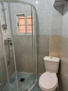 a bathroom with a toilet and a shower at Apartamento,Albares de la Ribera in Madrid