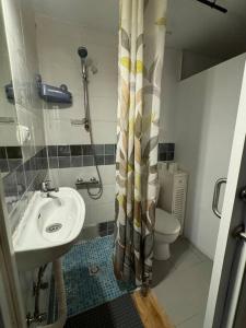 a bathroom with a sink and a toilet and a shower curtain at Apartamento,Albares de la Ribera in Madrid