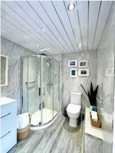a bathroom with a glass shower and a toilet at Bloom19 Traditional Belfast house 10 mins from city centre in Belfast