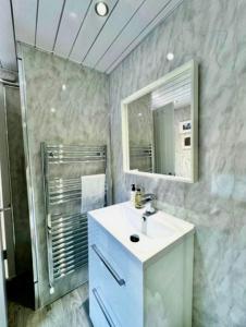 a bathroom with a sink and a mirror and a shower at Bloom19 Traditional Belfast house 10 mins from city centre in Belfast