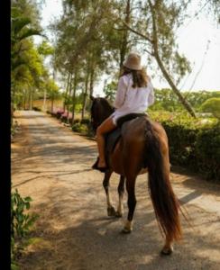 een vrouw op een paard op een onverharde weg bij PLAYA Y CAMPO EN UN SOLO LUGAR in Olón