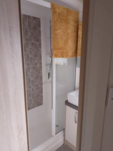 a bathroom with a shower and a sink at Seasalter Cosy Caravan, in Seasalter