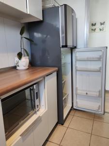 a kitchen with a refrigerator and a microwave at Departamento Santiago de Chile in Santiago