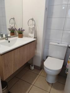 a bathroom with a toilet and a sink at Departamento Santiago de Chile in Santiago